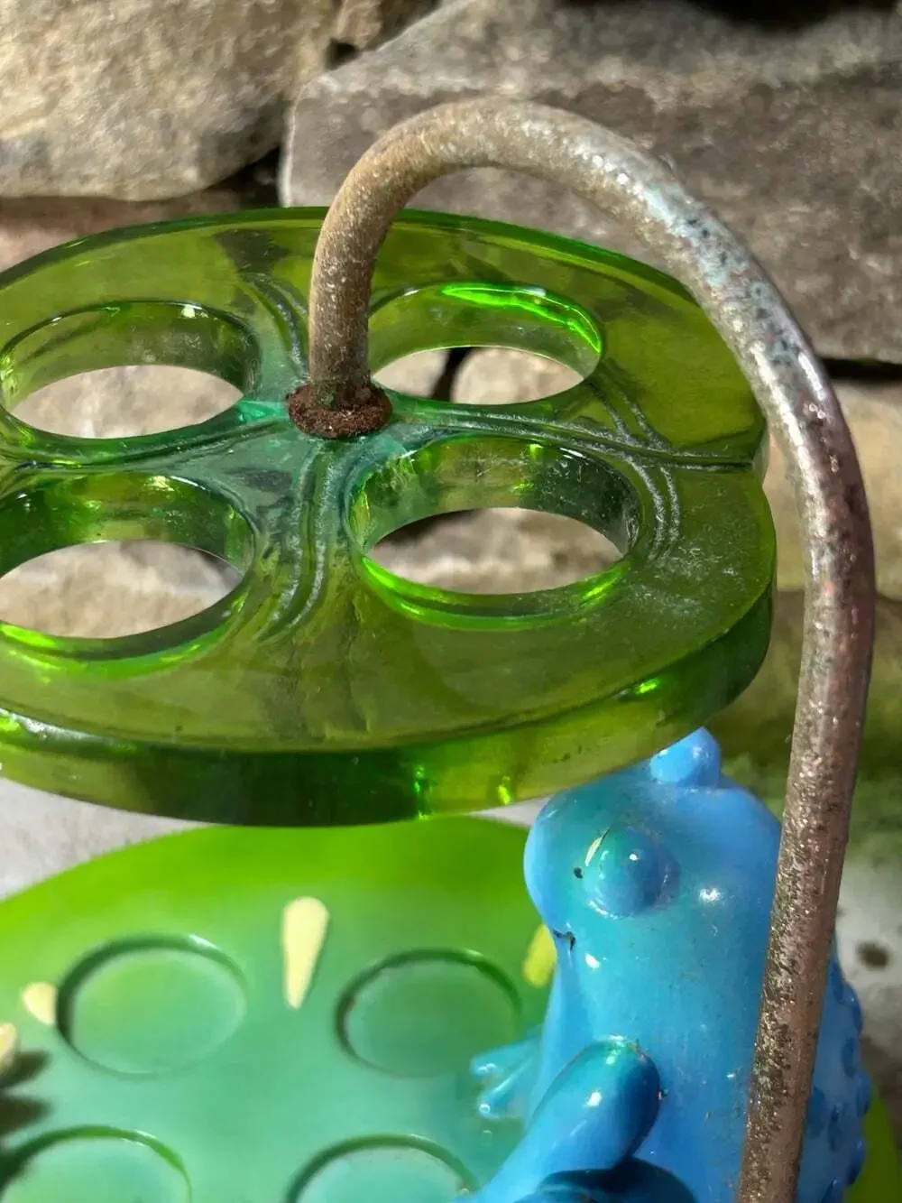 Walmart fun frog